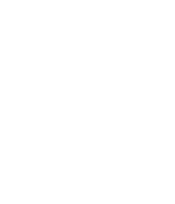 DSMAX